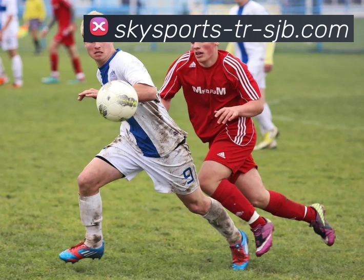 奖项2